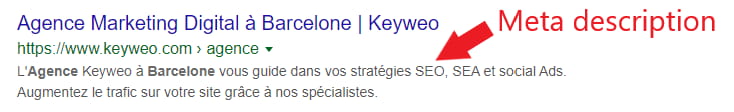 Exemple d'une meta description dans Google