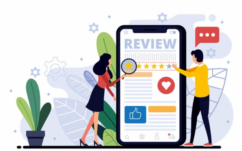 Opinions and comments from WordPress theme users