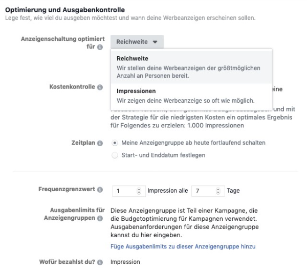 Optimierung und Ausgabenkontrolle bei Facebook Ads