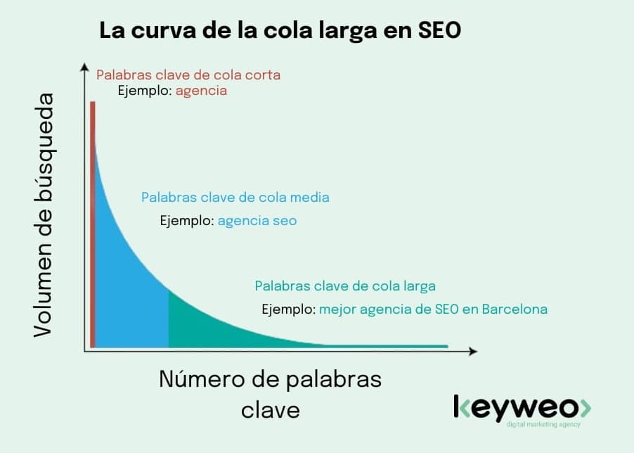 Curva cola larga seo