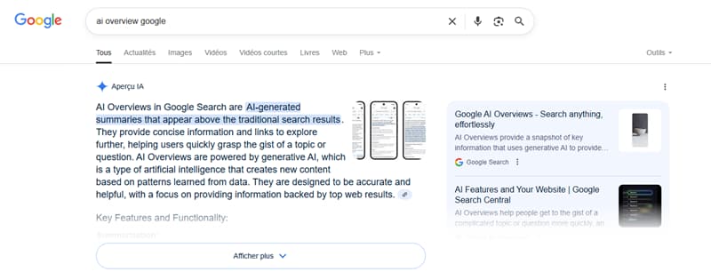 Aperçu de l'AI Overview de Google