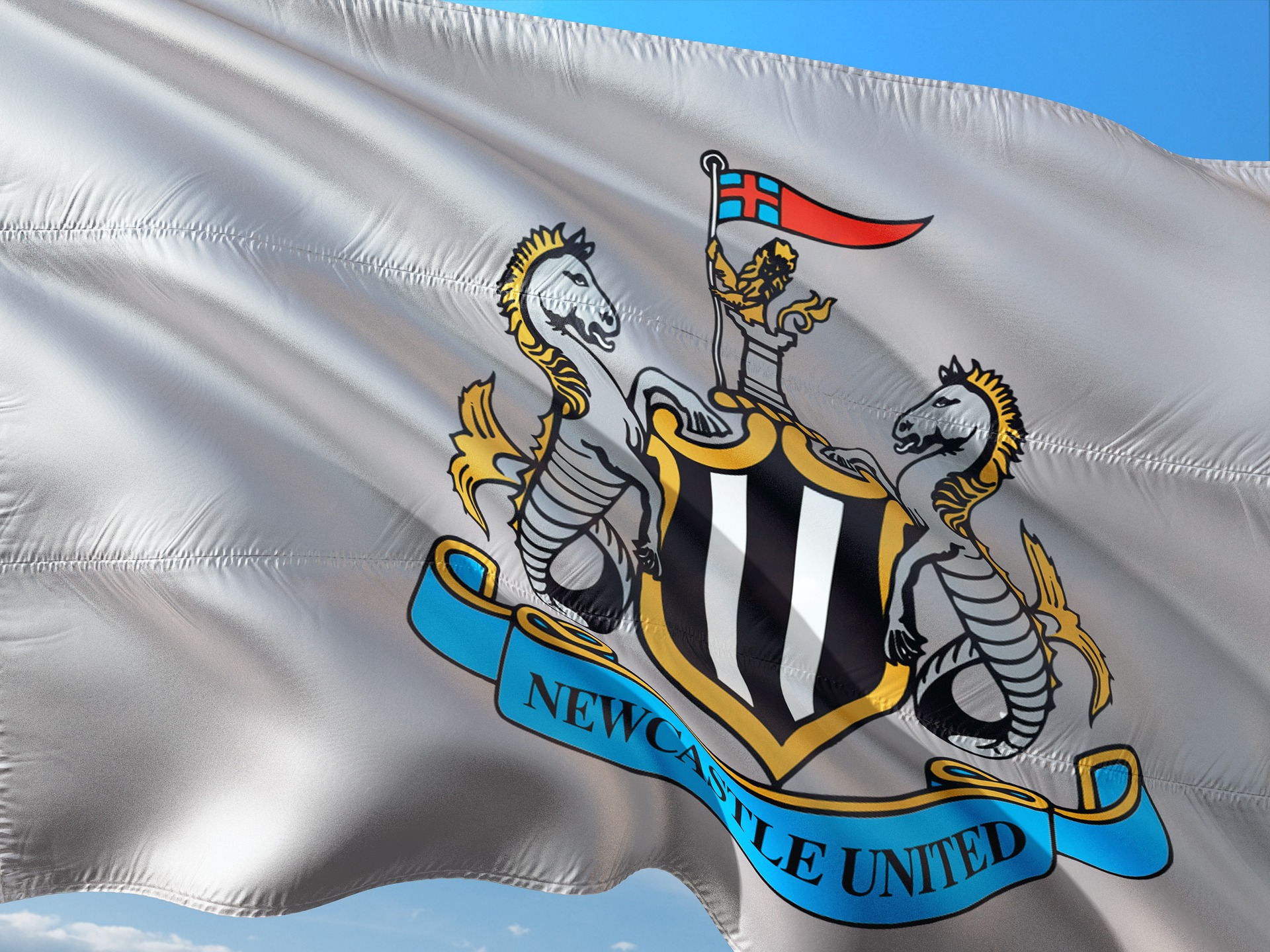 newcastle flag