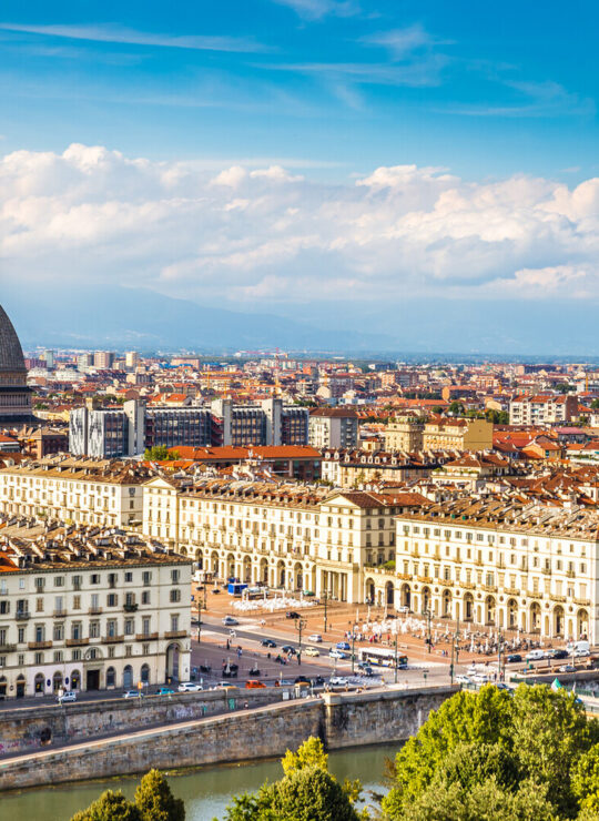 Agenzia SEO a Torino